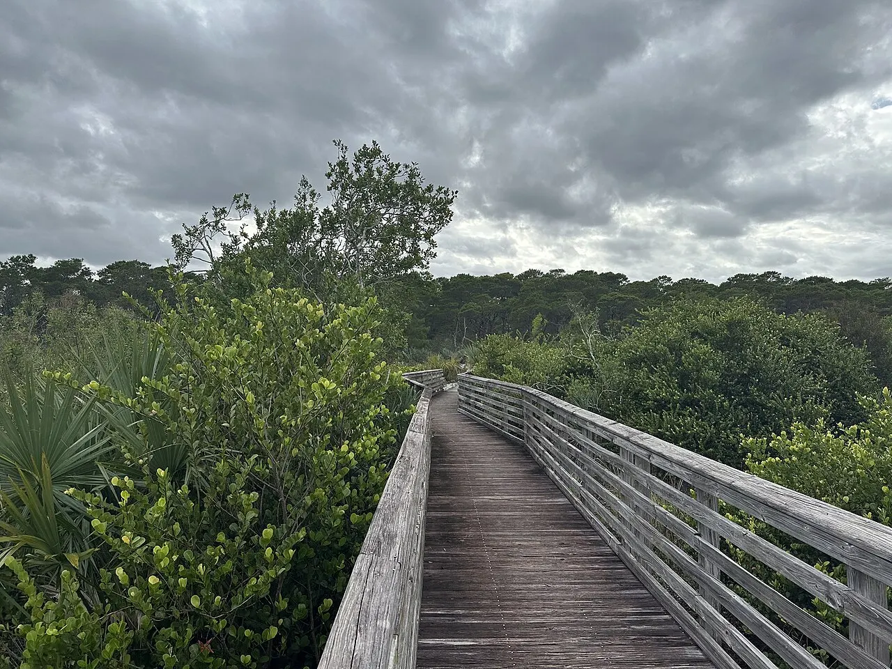 Jupiter Ridge Natural Area, Jupiter, Florida, United States