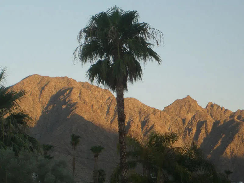 Cove Oasis Trailhead, La Quinta, California, United States