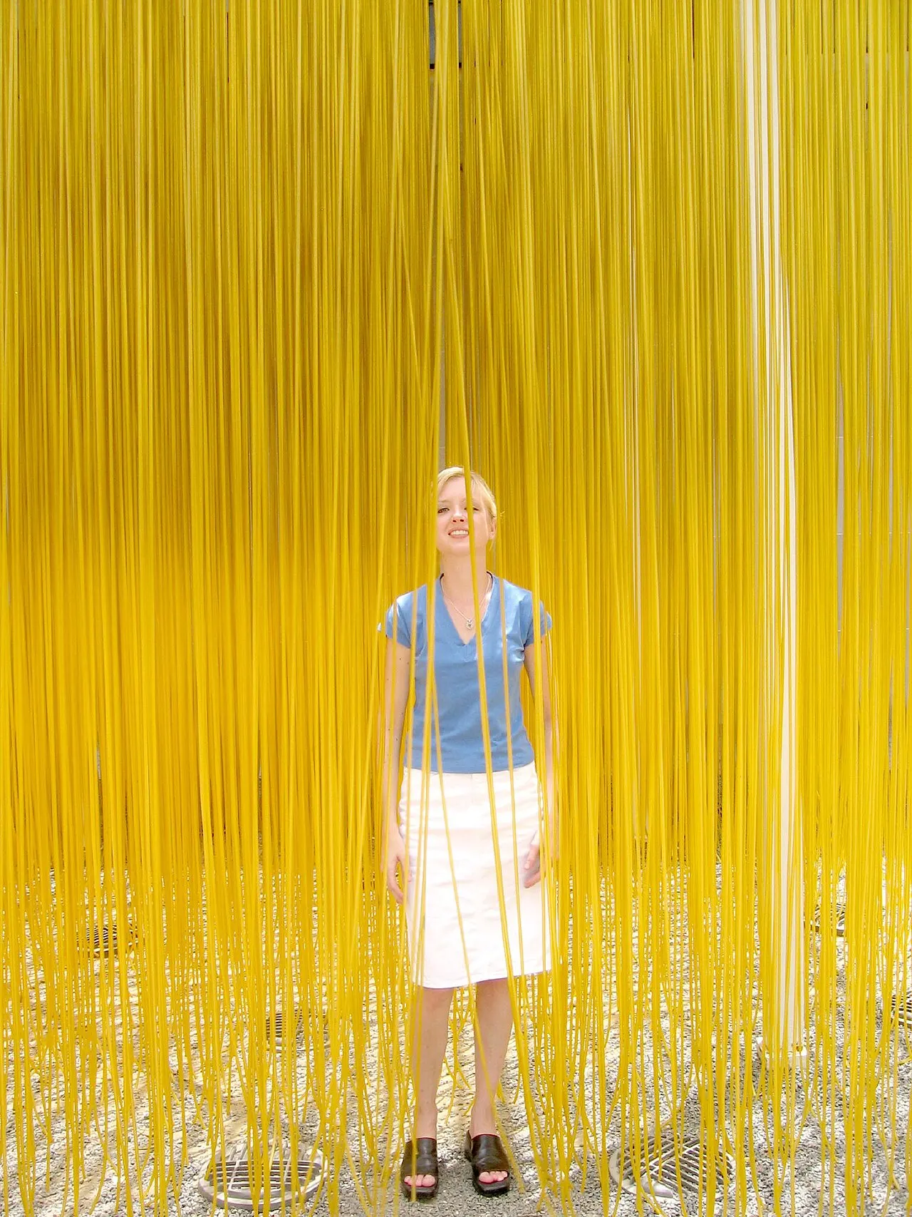 Museum of Fine Arts, Houston, Houston, Texas, United States