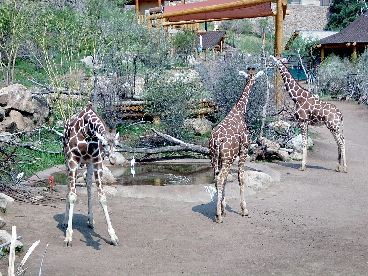 Cheyenne Mountain Zoo, Colorado Springs, Colorado, United States