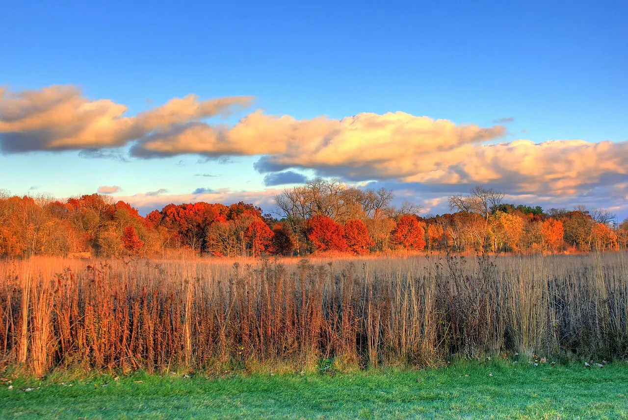 UW-Madison Arboretum, Madison, Wisconsin, United States