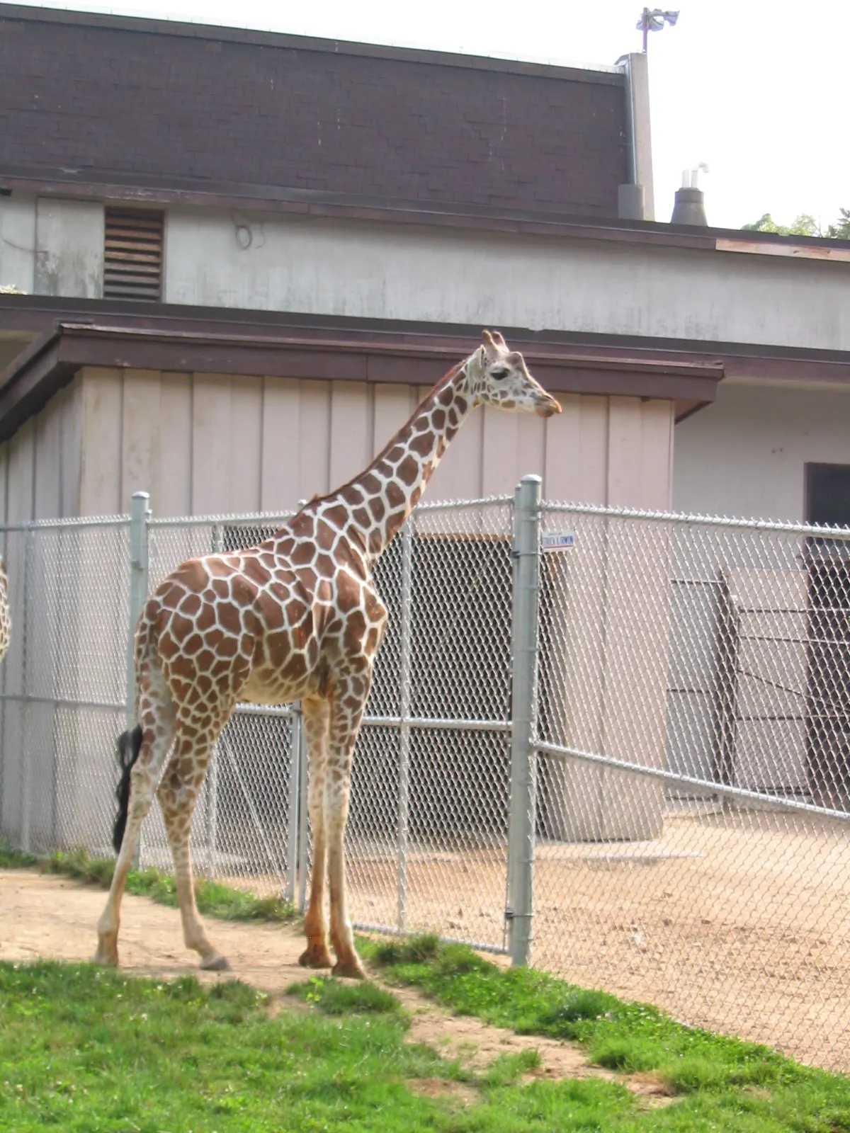 Henry Vilas Zoo, Madison, Wisconsin, United States