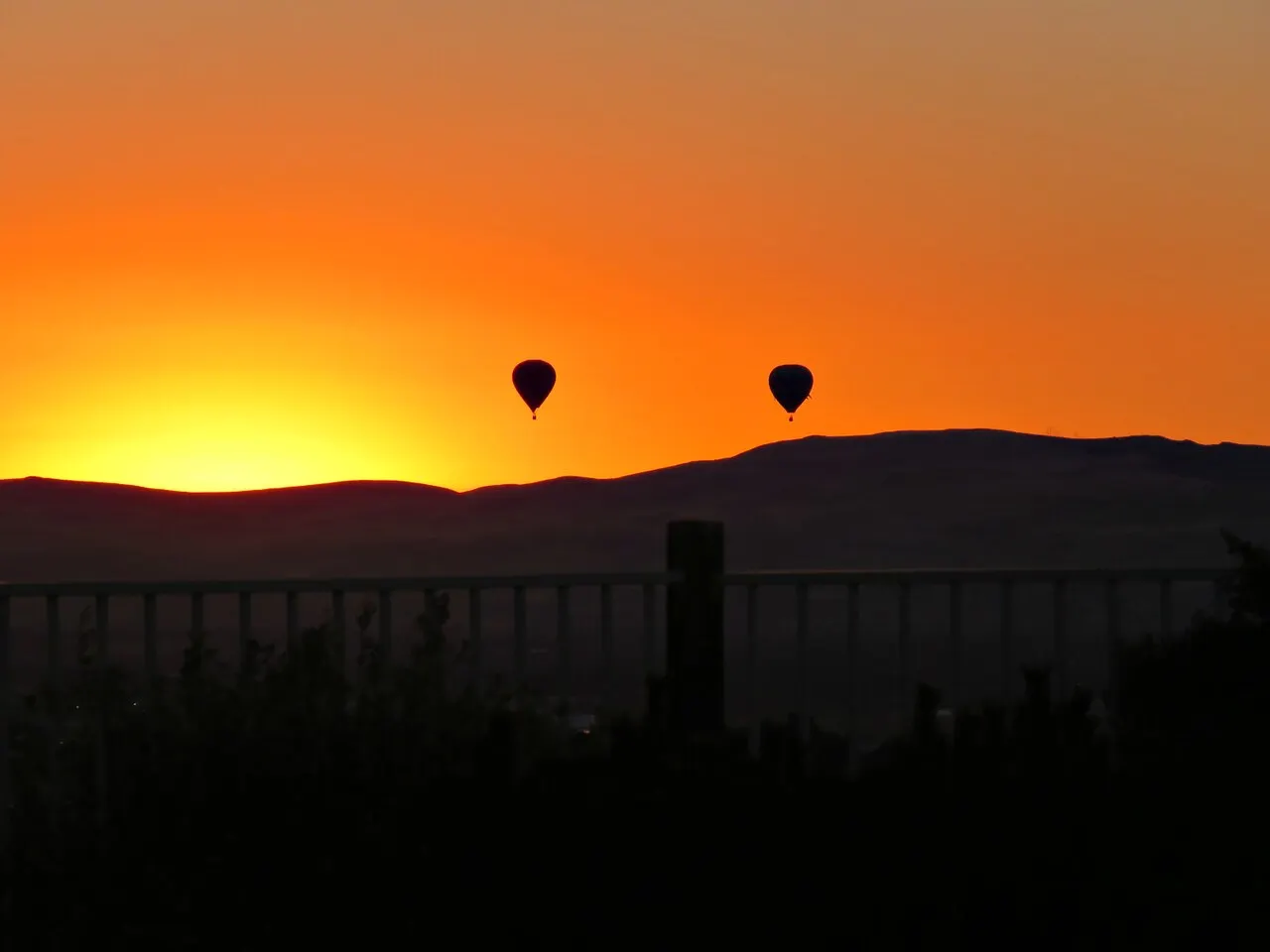 Great Reno Balloon Race, Reno, Nevada, United States