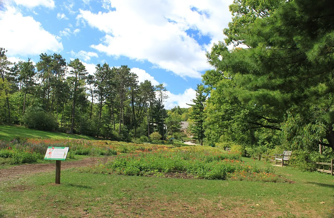 Nichols Arboretum, Ann Arbor, Michigan, United States