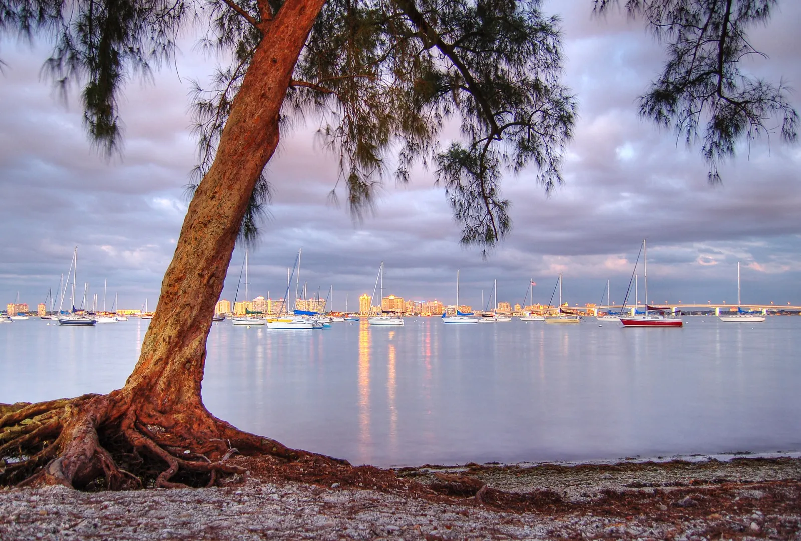 Sarasota, Florida, United States