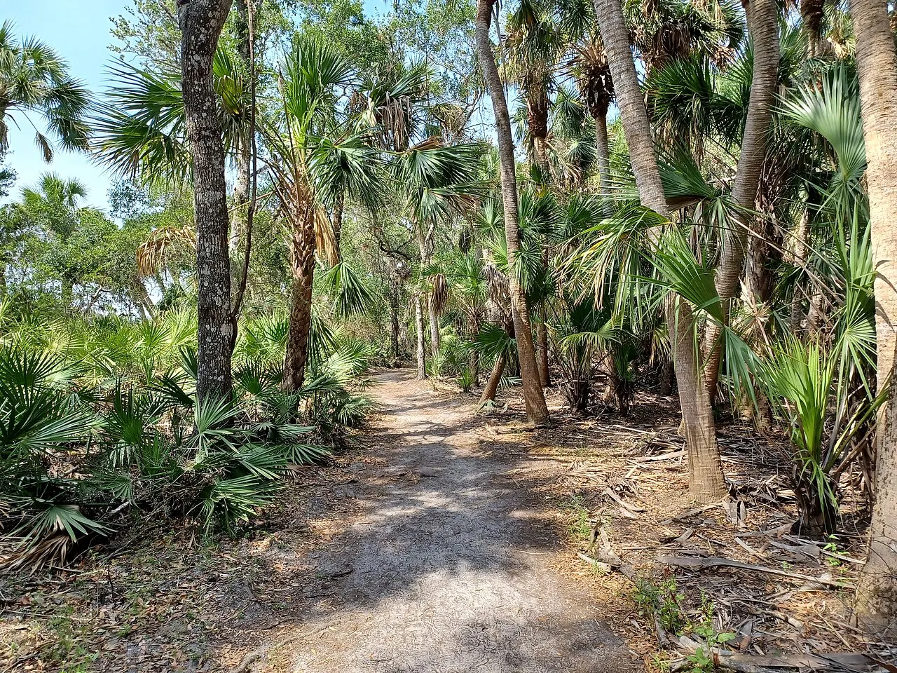Myakka River State Park, Sarasota, Florida, United States