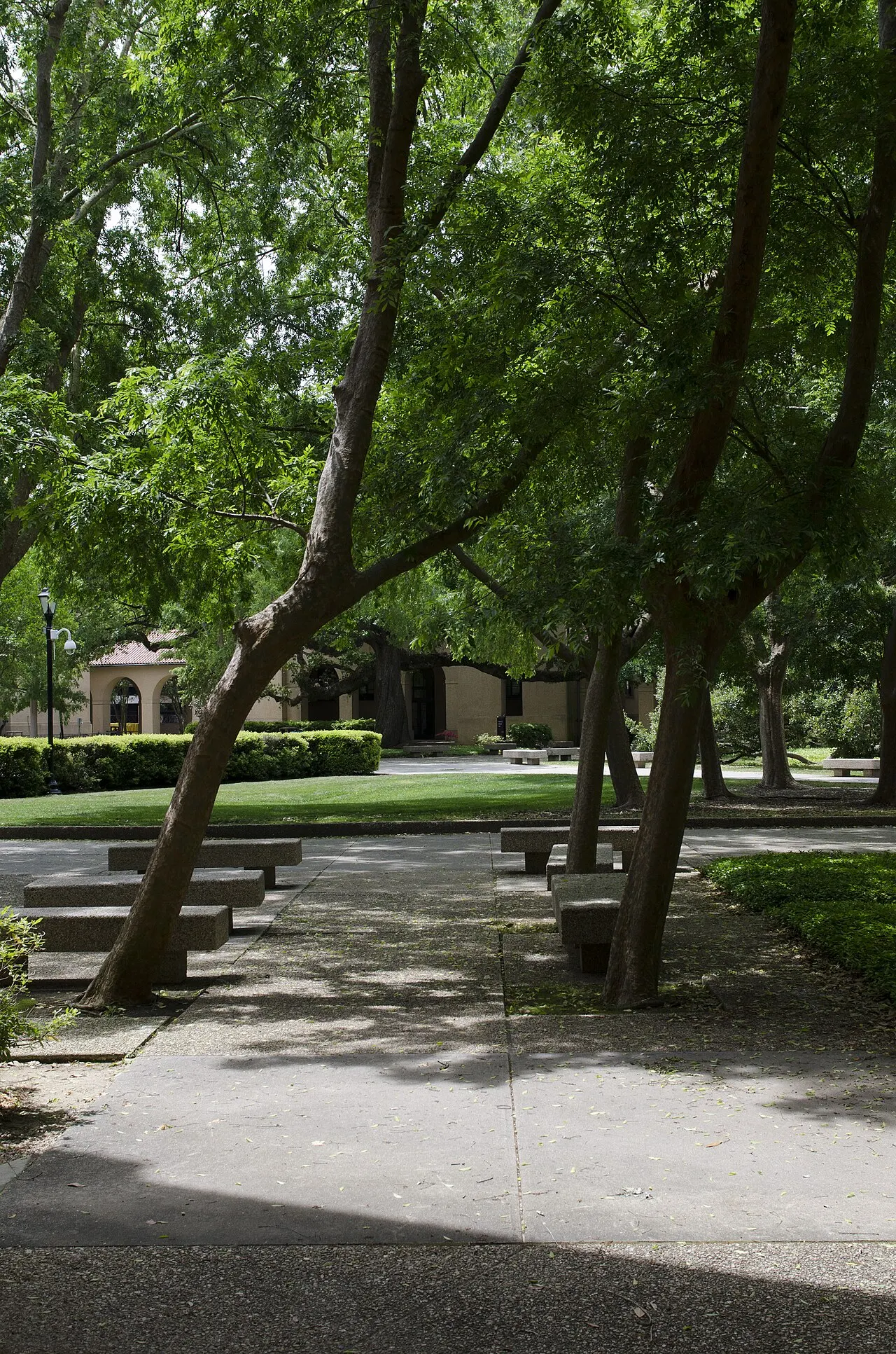Louisiana State University, Baton Rouge, Louisiana, United States