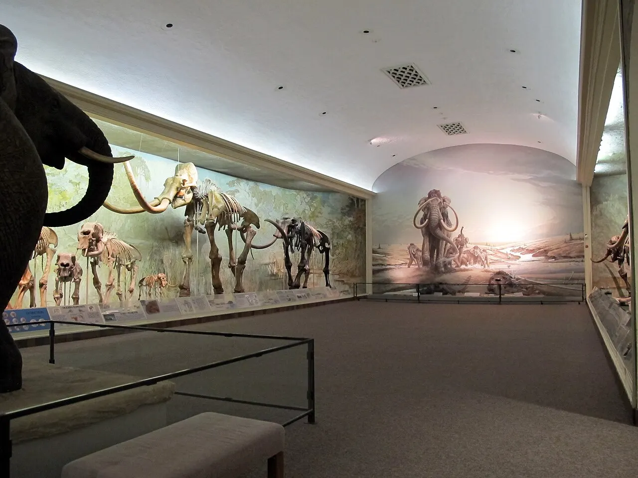 Morrill Hall, Lincoln, Nebraska, United States