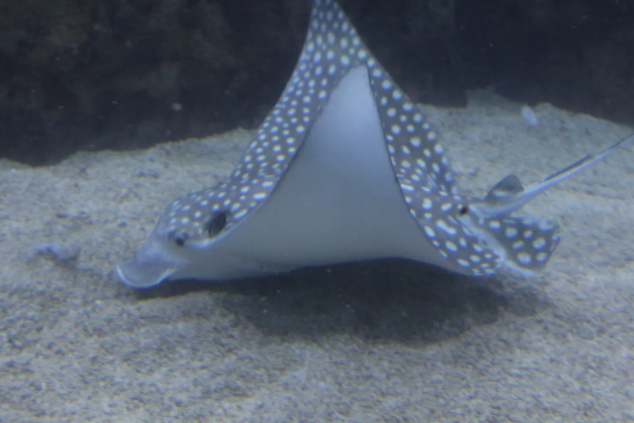 Toledo Zoo and Aquarium, Toledo, Ohio, United States