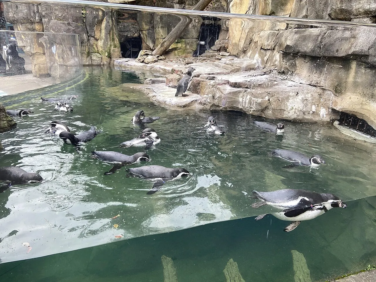 Akron Zoo, Akron, Ohio, United States