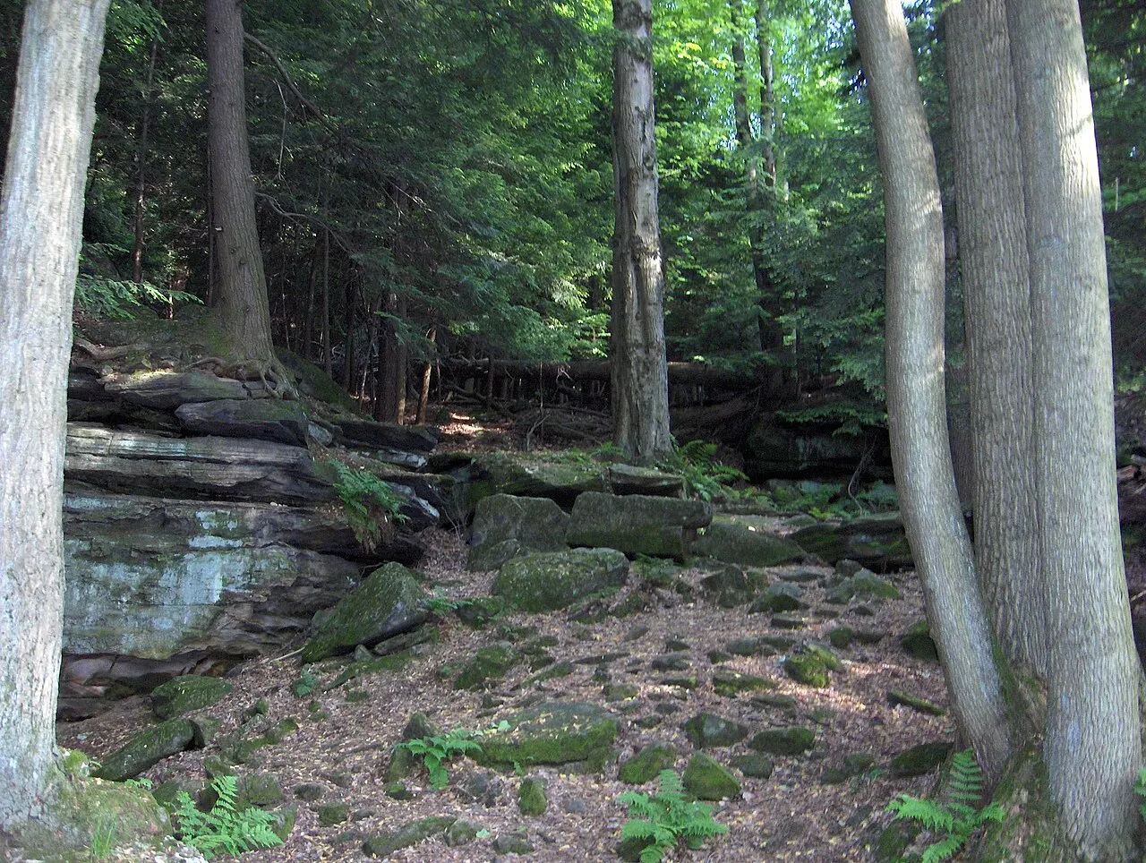Cuyahoga Valley National Park, Akron, Ohio, United States