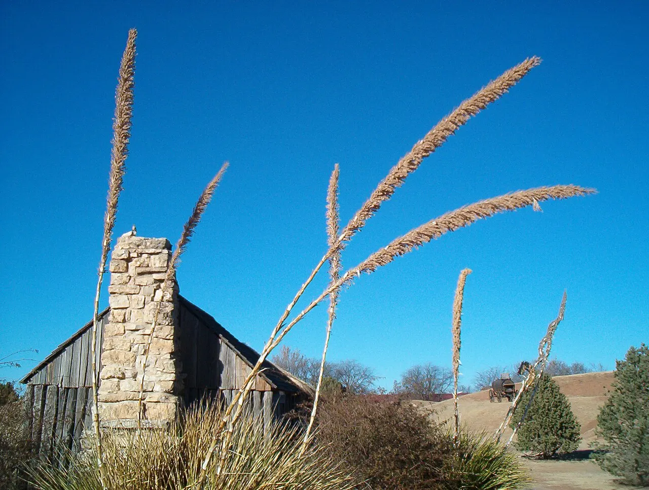 National Ranching Heritage Center, Lubbock, Texas, United States
