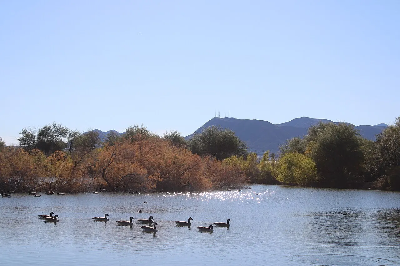 Henderson Bird Viewing Preserve, Henderson, Nevada, United States