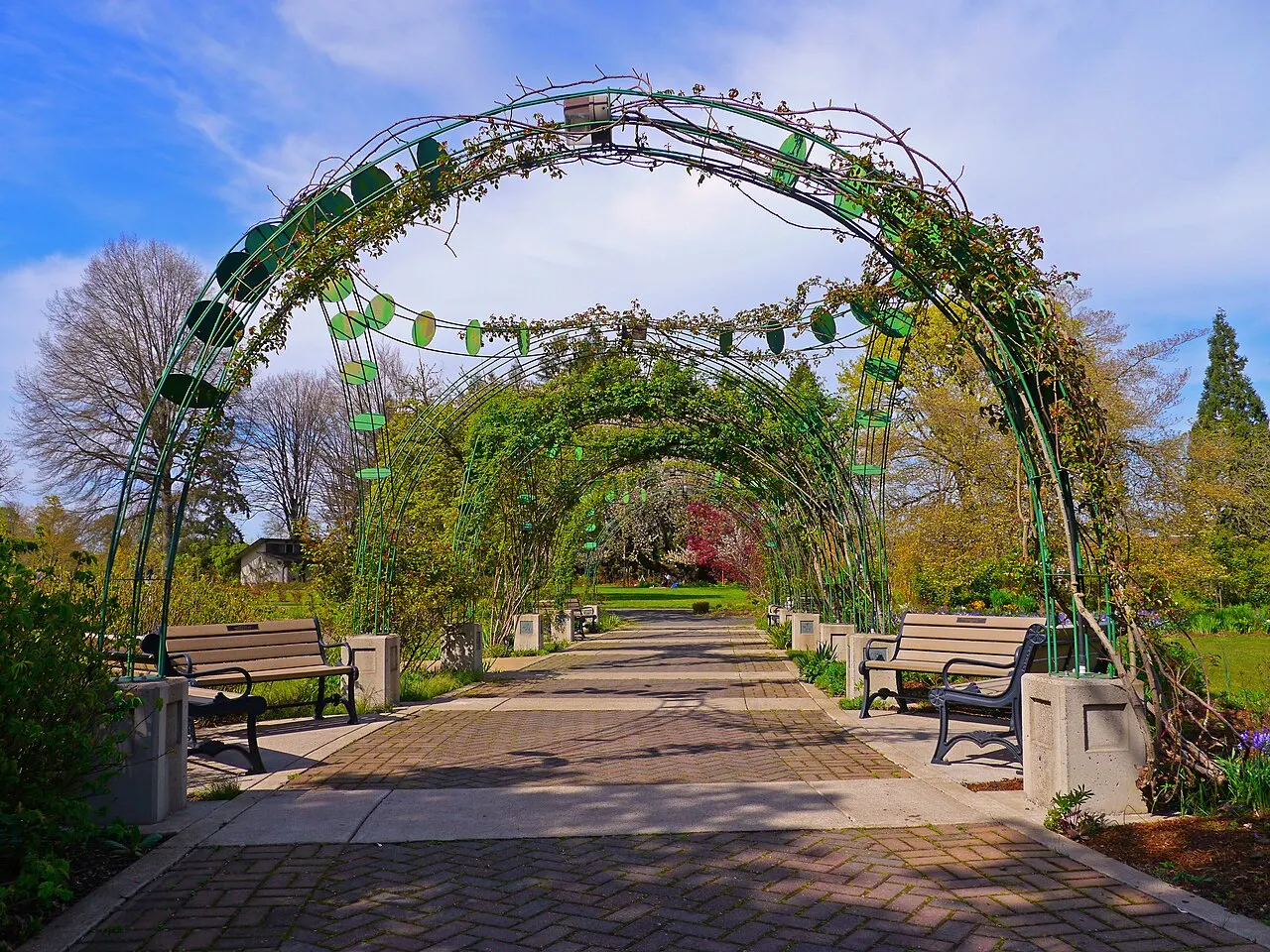 Owen Rose Garden, Eugene, Oregon, United States