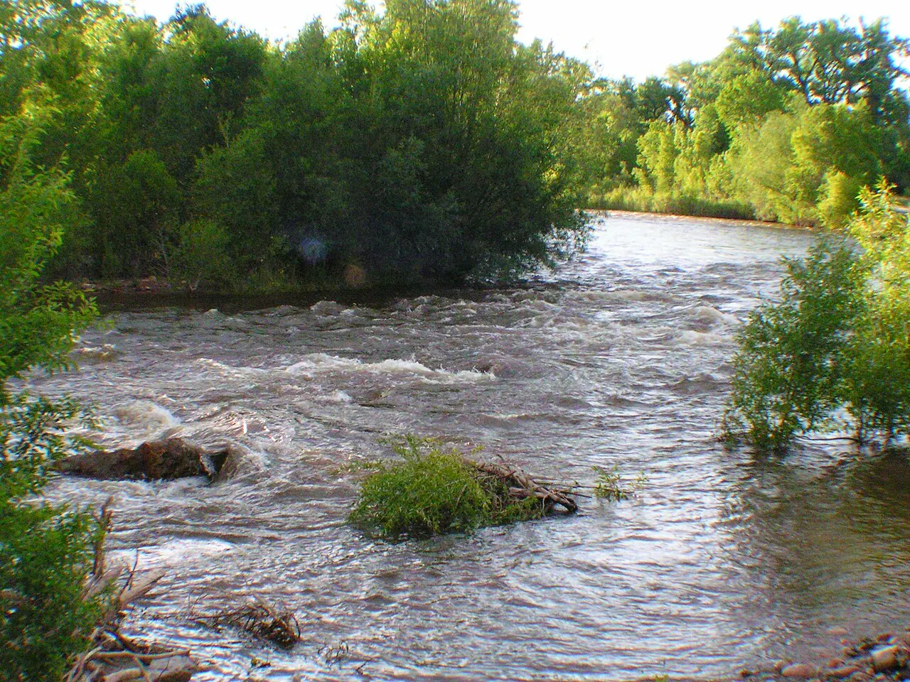 Cache la Poudre River, Fort Collins, Colorado, United States