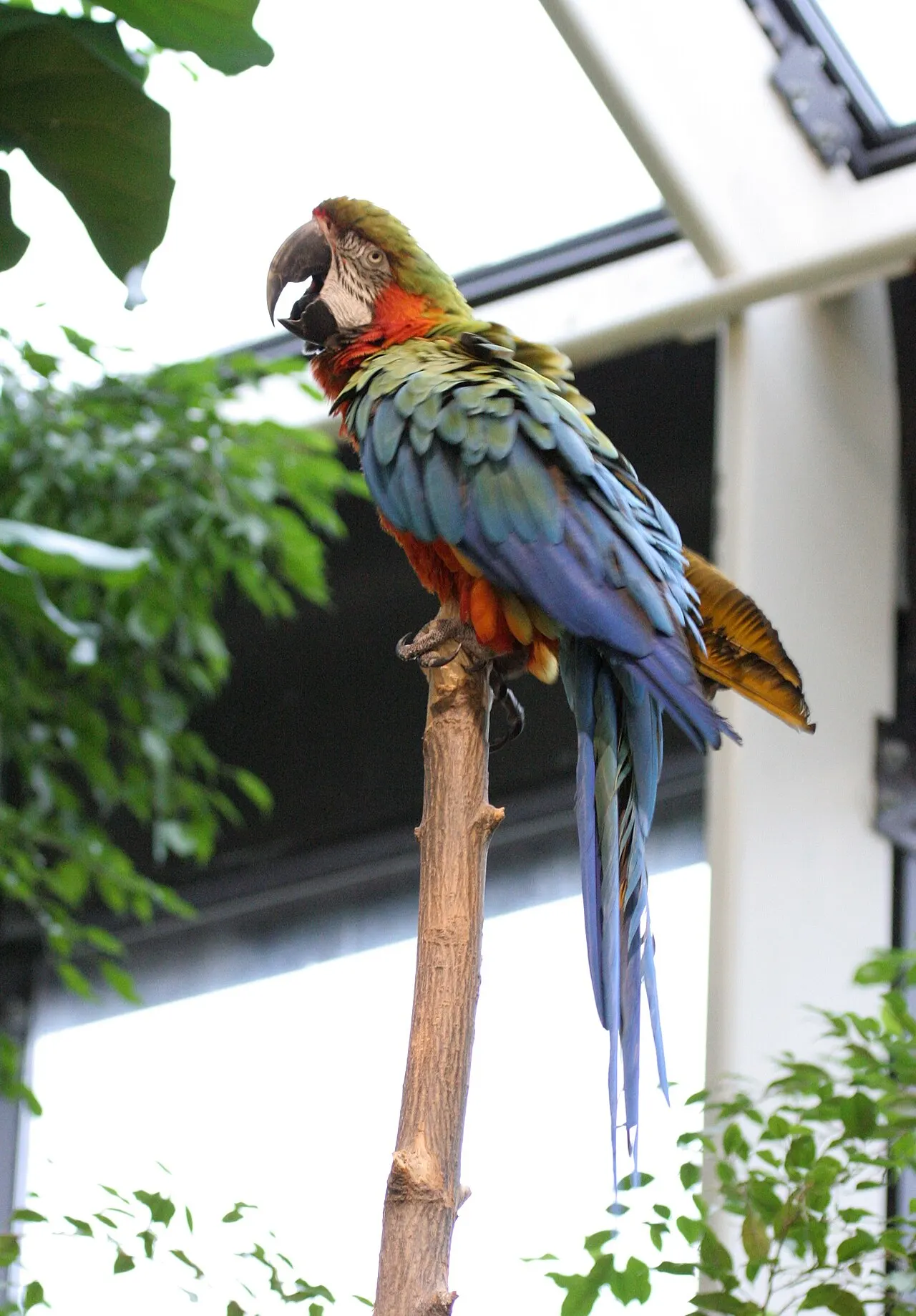 Rosamond Gifford Zoo, Syracuse, New York, United States