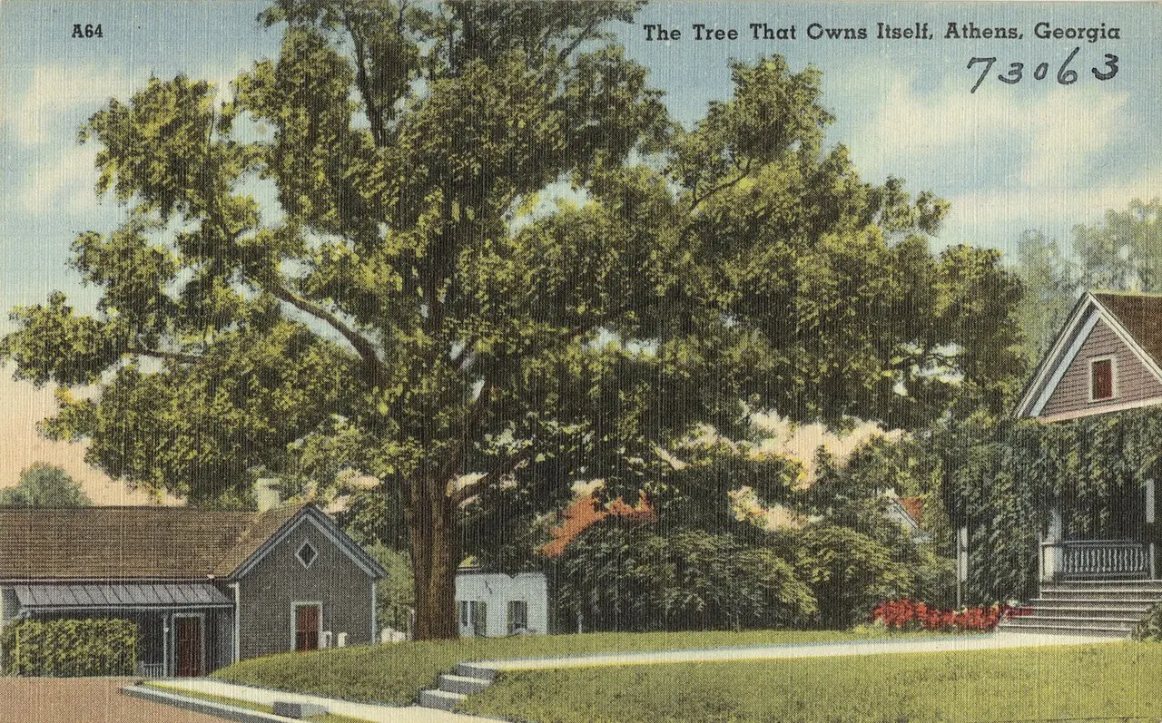 Tree That Owns Itself, Athens, Georgia, United States