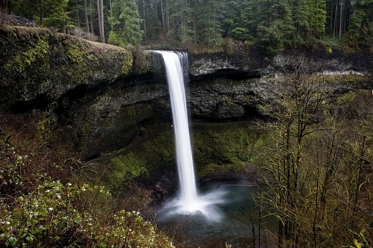 Silver Falls State Park, Salem, Oregon, United States