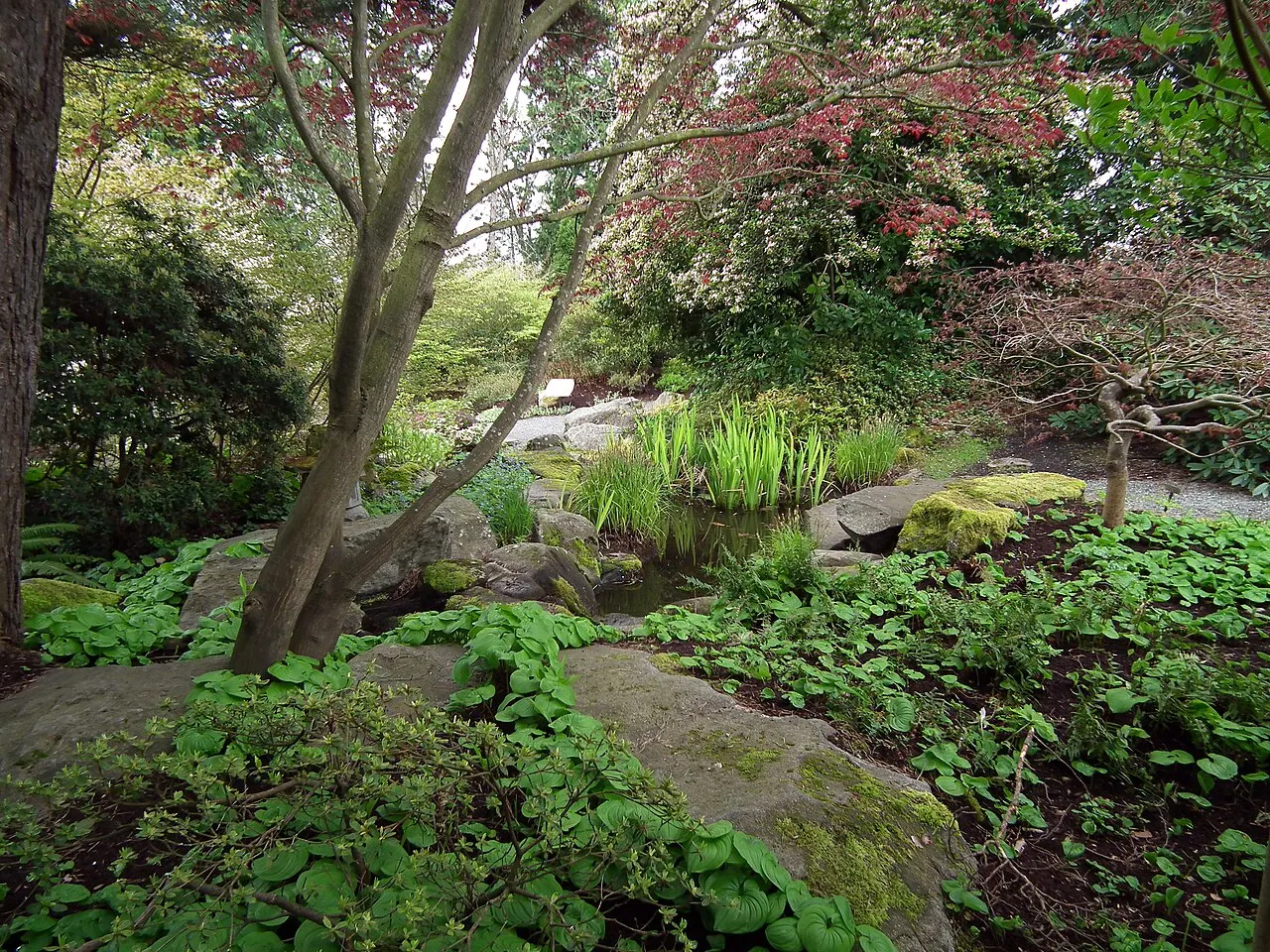 Bellevue Botanical Garden, Bellevue, Washington, United States