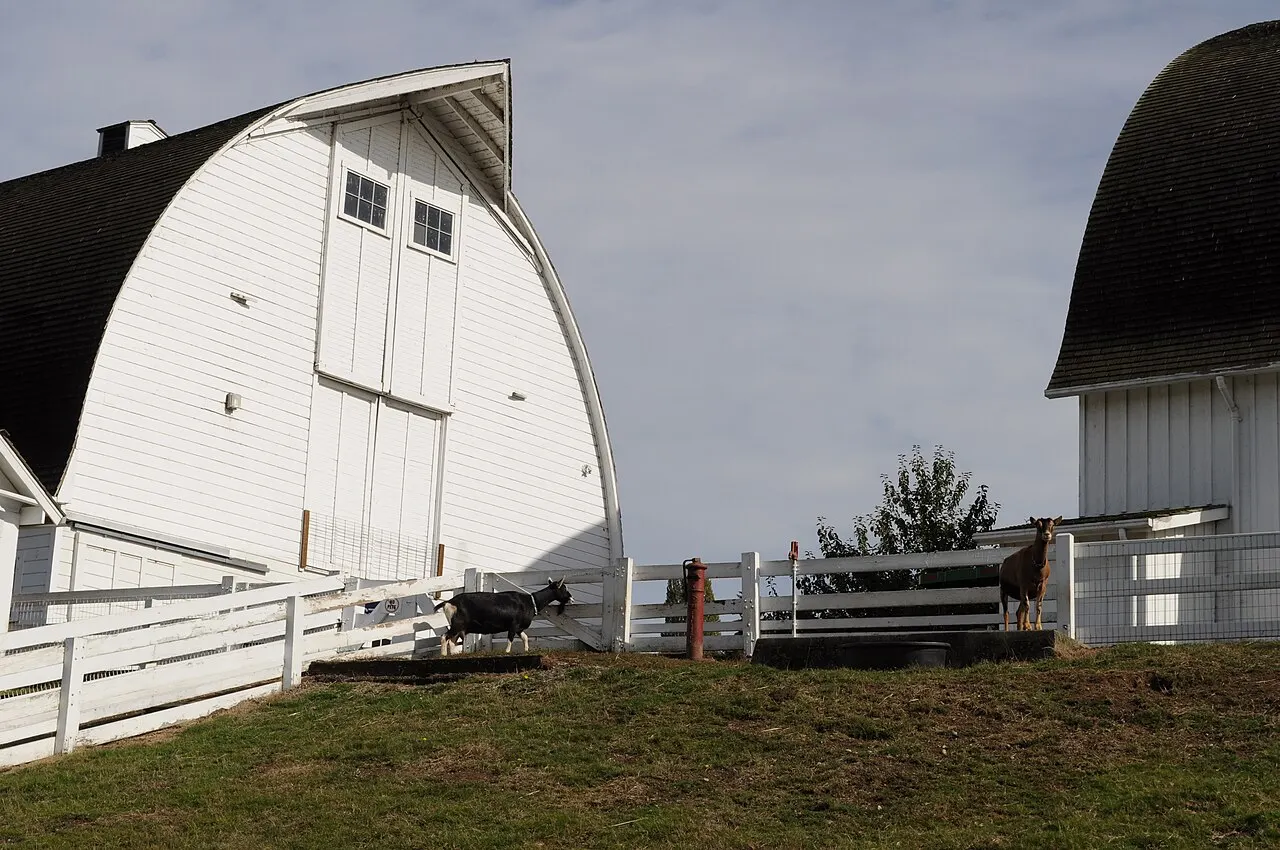 Kelsey Creek Farm, Bellevue, Washington, United States