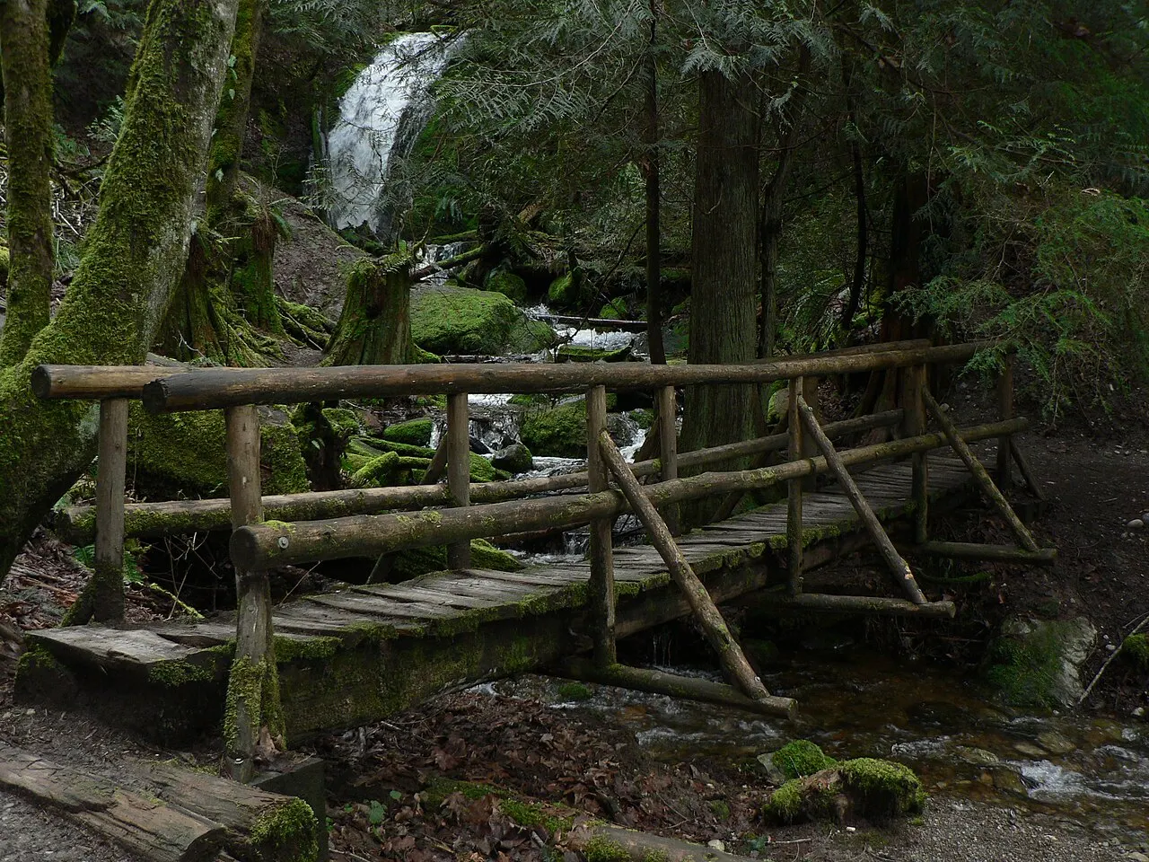 Cougar Mountain Regional Wildland Park, Bellevue, Washington, United States