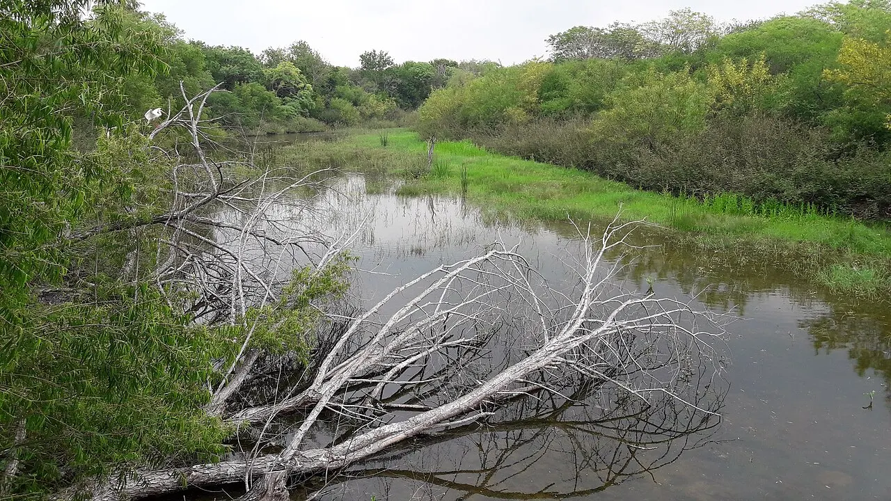Resaca de la Palma State Park, Brownsville, Texas, United States