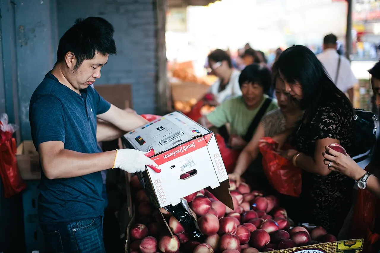 Flushing, Queens, New York, United States