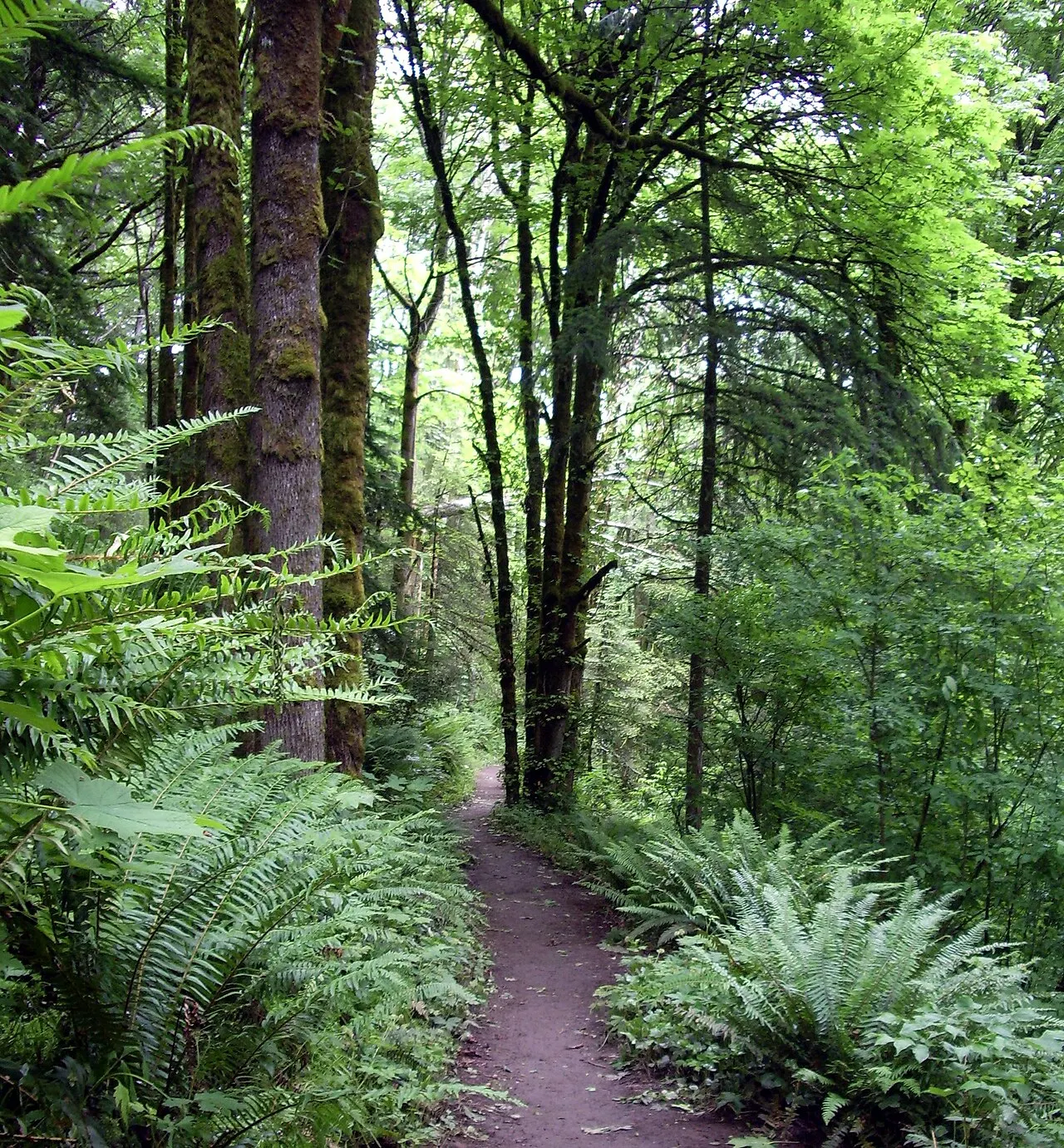 Forest Park Portland, Portland, Oregon, United States