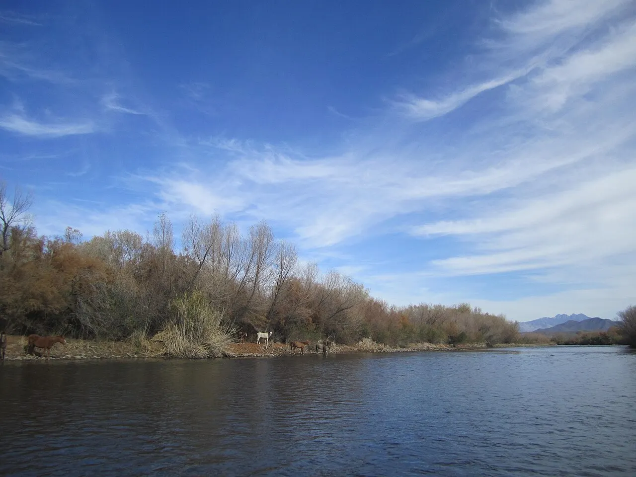 Salt River Tubing, Mesa, Arizona, United States