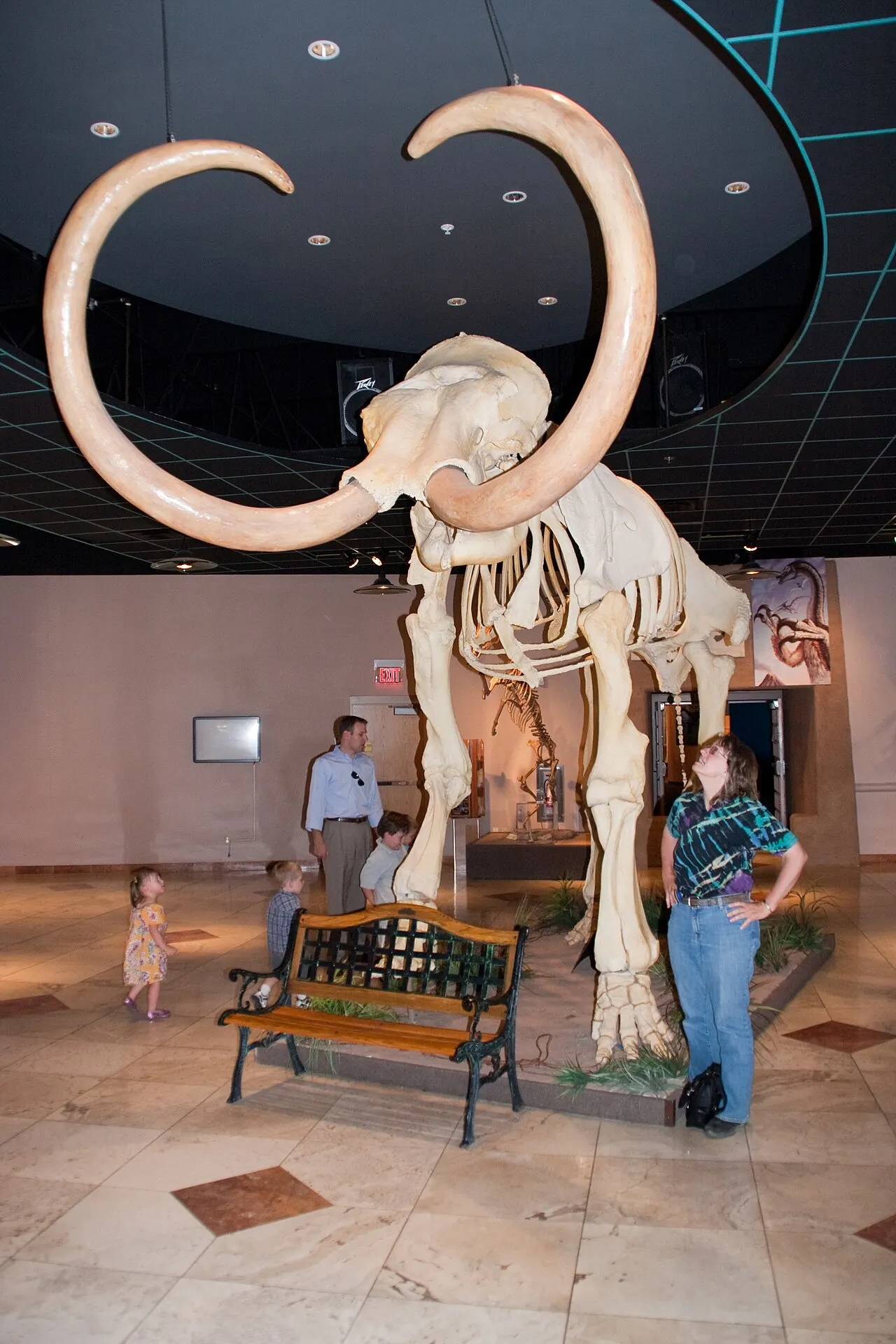 Arizona Museum of Natural History, Mesa, Arizona, United States