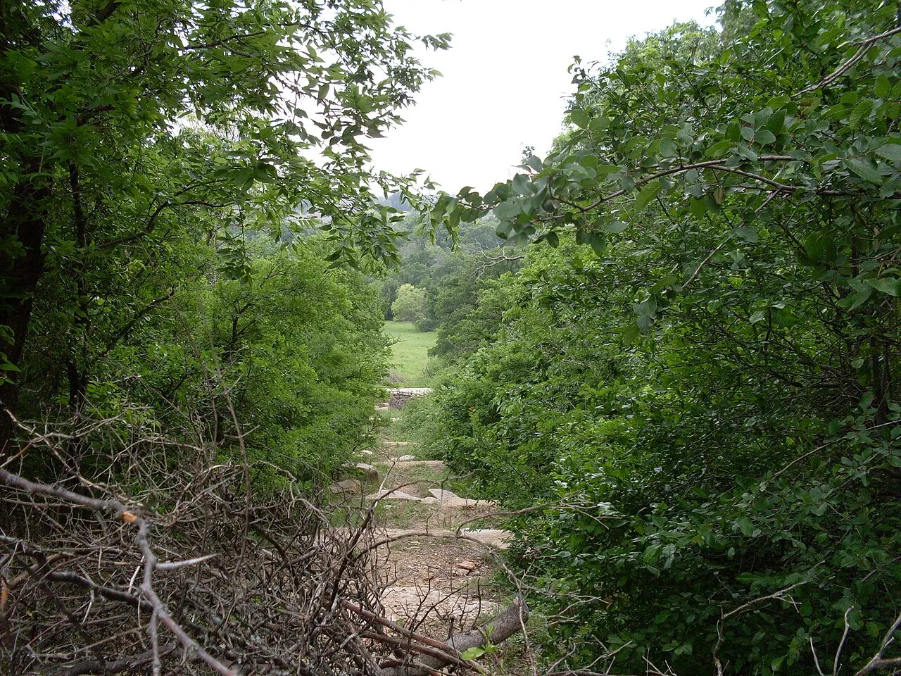 Arbor Hills Nature Preserve, Plano, Texas, United States