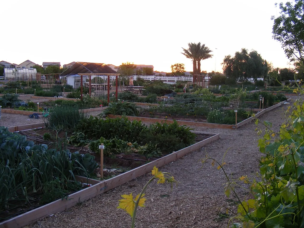 Agritopia, Gilbert, Arizona, United States