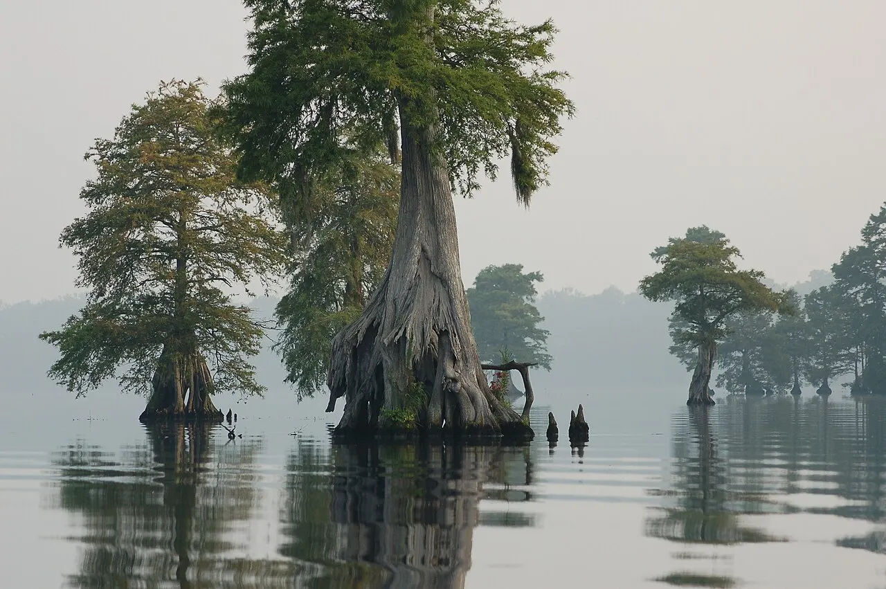 Chesapeake