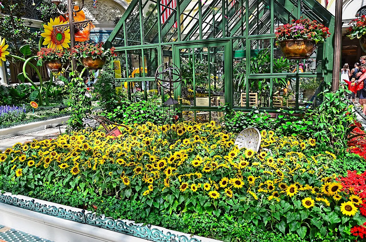 Bellagio Conservatory and Botanical Gardens, Paradise, Nevada, United States