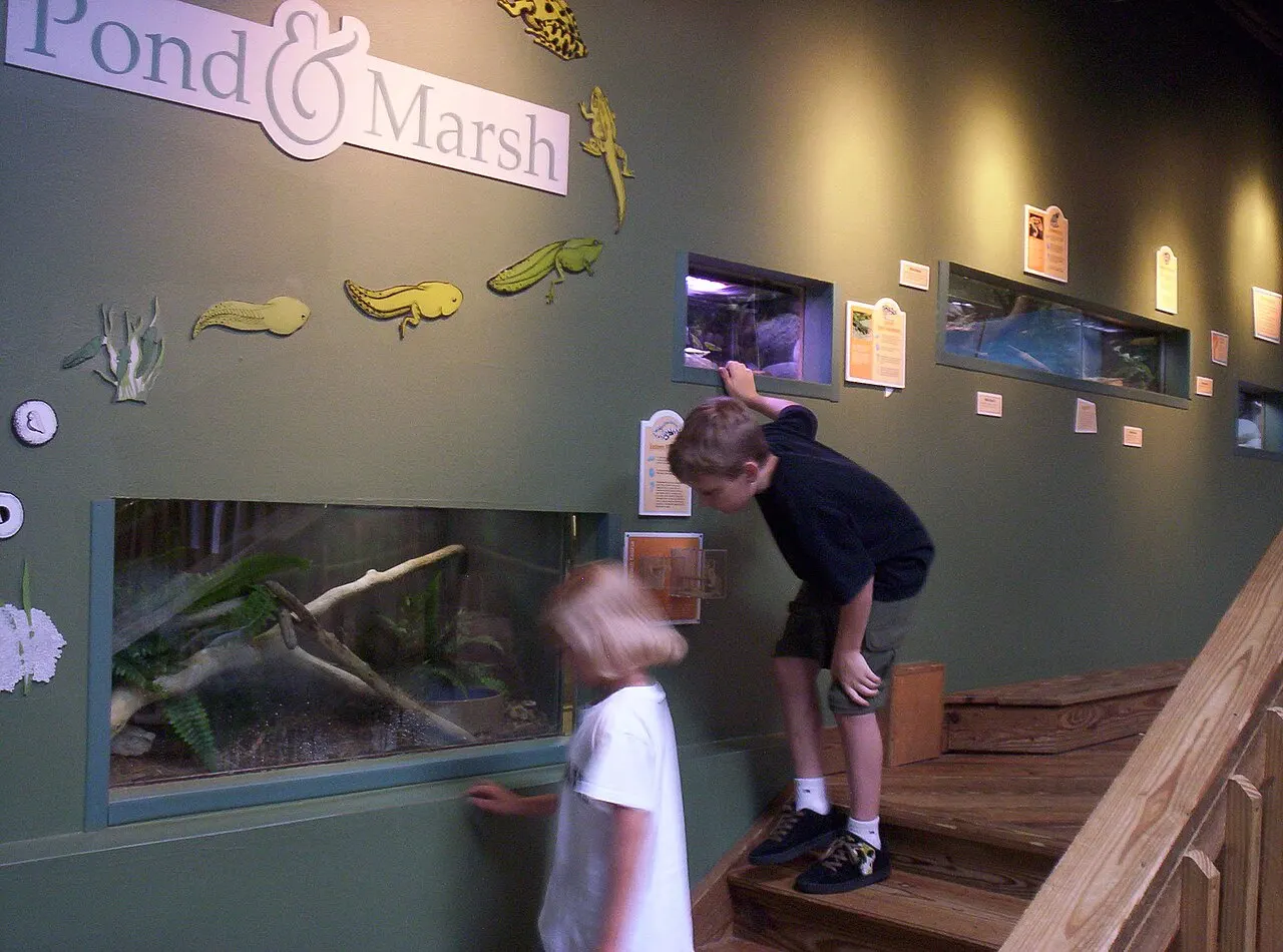 Boonshoft Museum of Discovery, Dayton, Ohio, United States