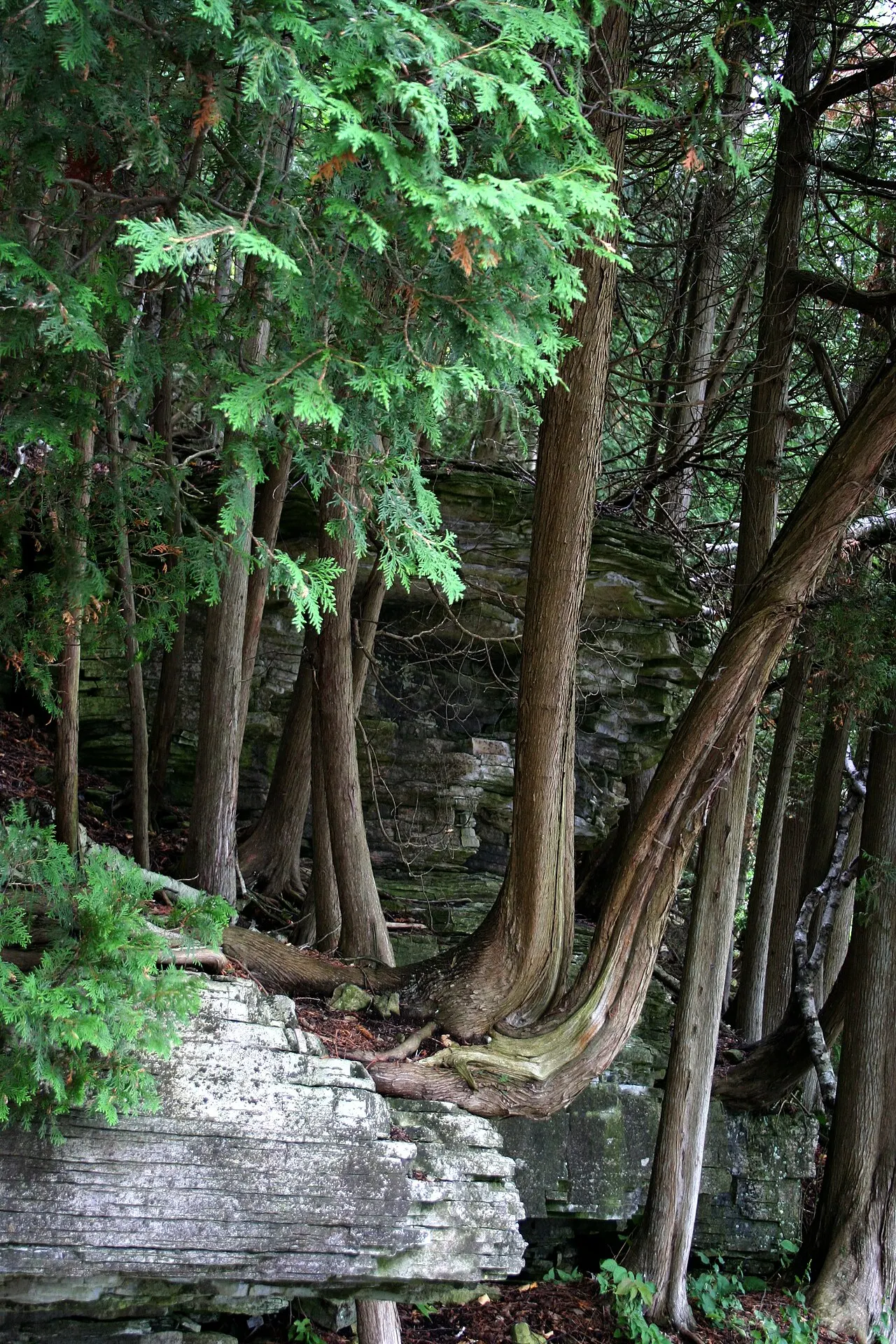 Potawatomi State Park, Door County, Wisconsin, United States