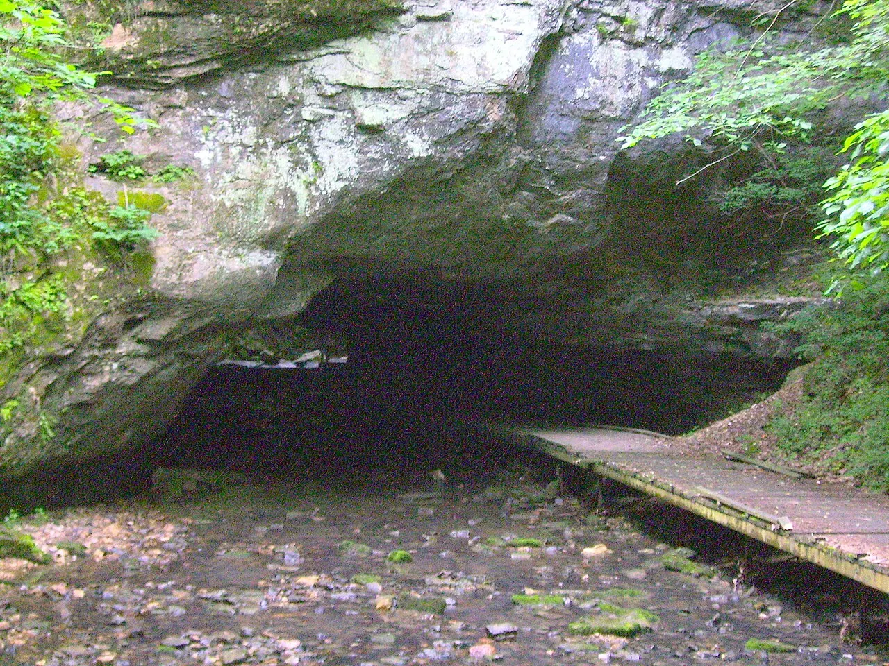 Rock Bridge Memorial State Park, Columbia, Missouri, United States