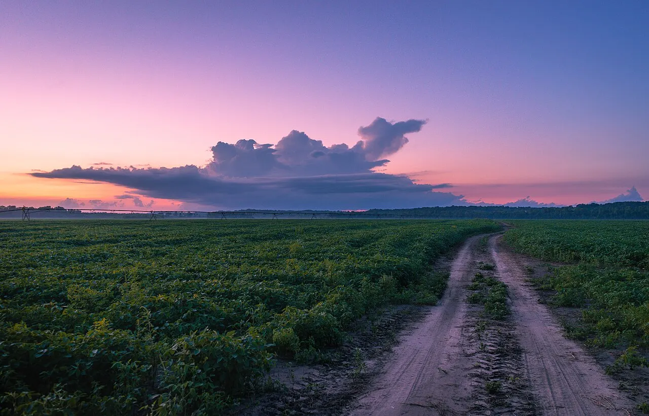 Katy Trail State Park, Columbia, Missouri, United States