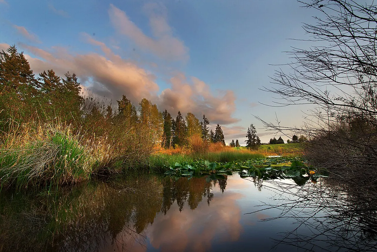 Clark Lake Park, Kent, Washington, United States