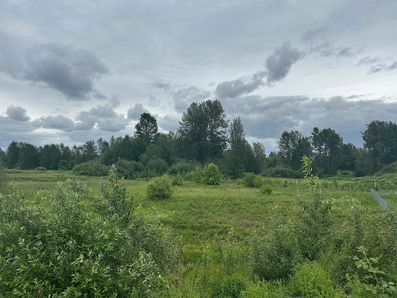 Green River Natural Resources Area, Kent, Washington, United States