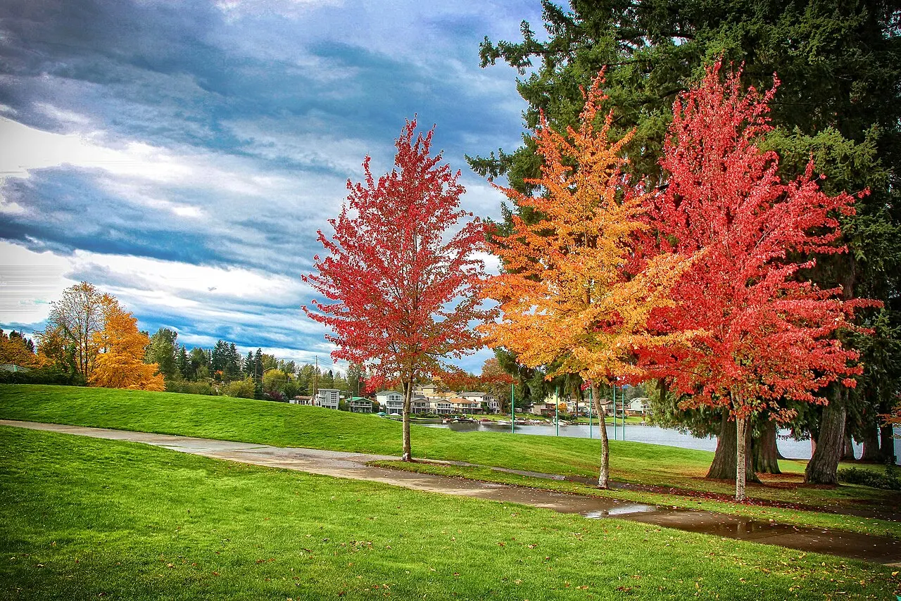 Lake Meridian Park, Kent, Washington, United States