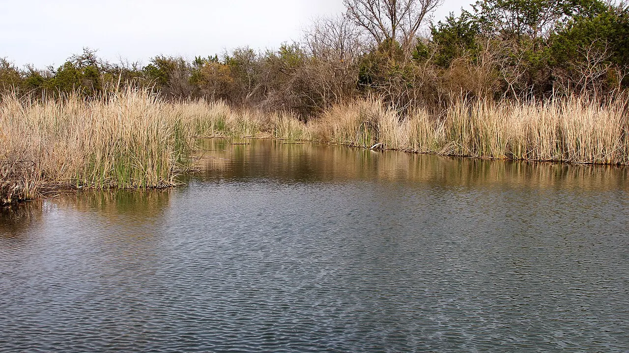 Abilene State Park, Abilene, Texas, United States