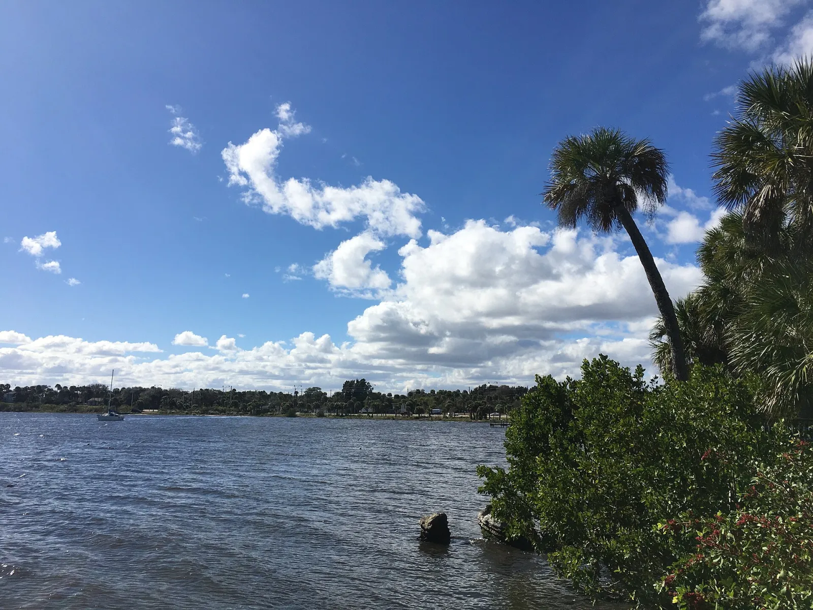 Indian River Lagoon, Palm Bay, Florida, United States