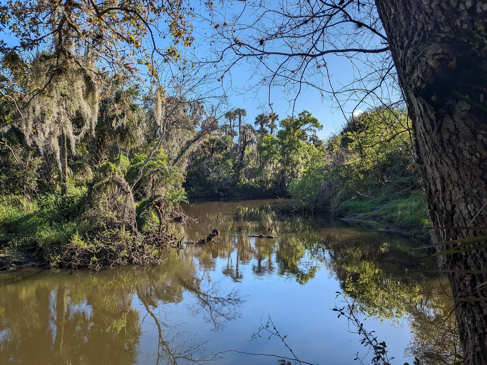 Turkey Creek Sanctuary, Palm Bay, Florida, United States