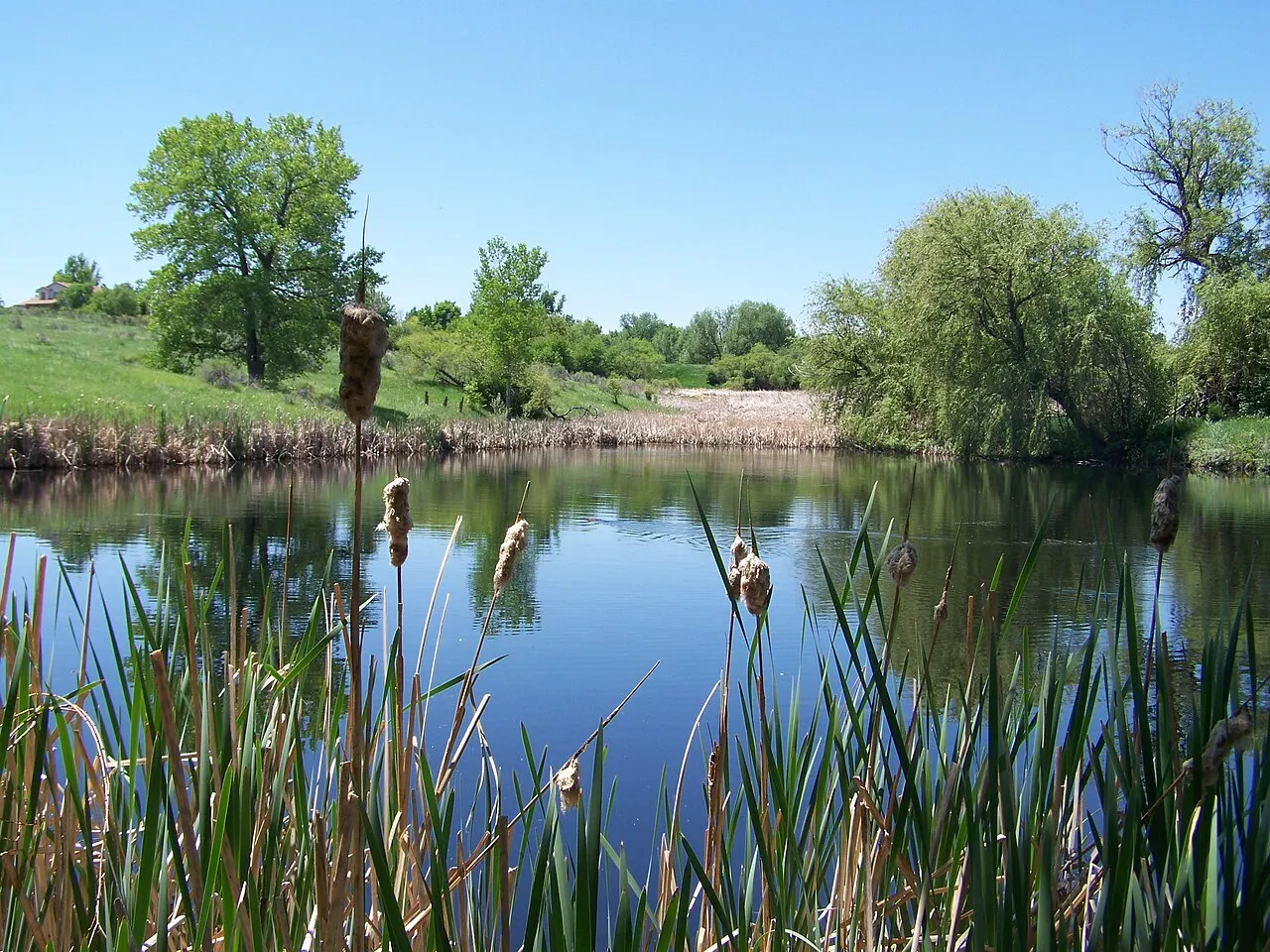 Two Ponds National Wildlife Refuge, Arvada, Colorado, United States