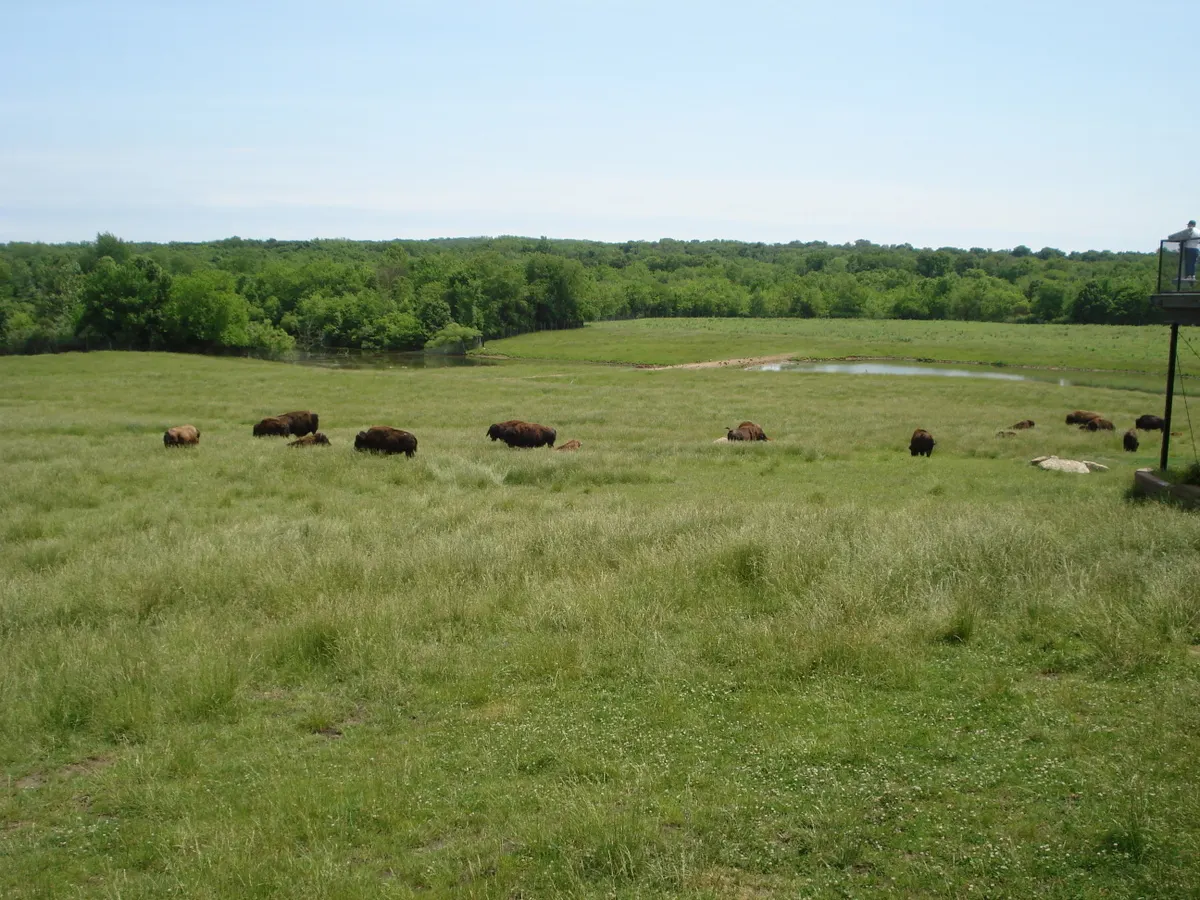 Wildlife Prairie Park, Peoria, Illinois, United States