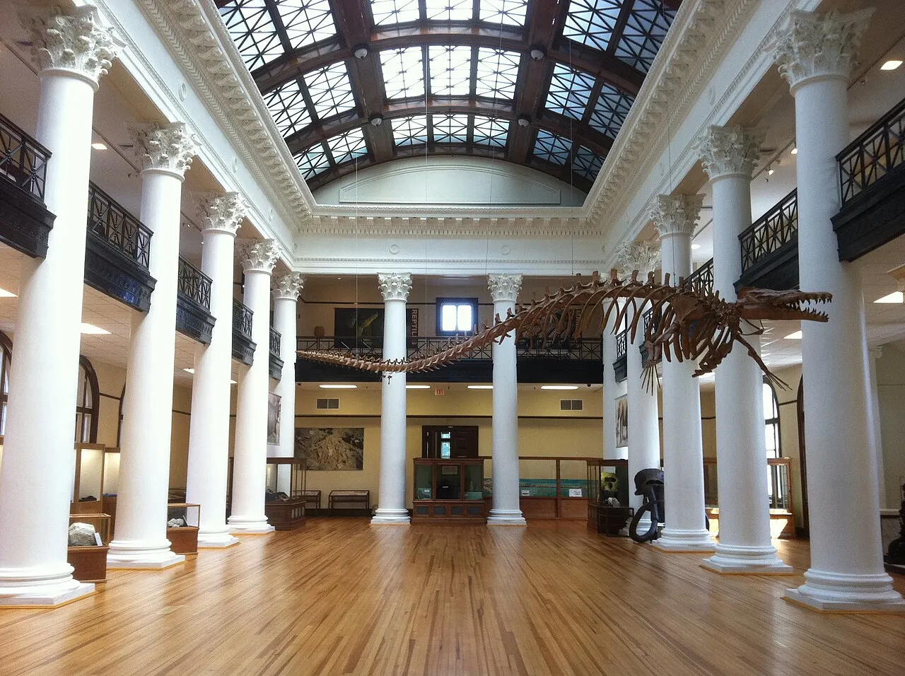 Alabama Museum of Natural History, Tuscaloosa, Alabama, United States