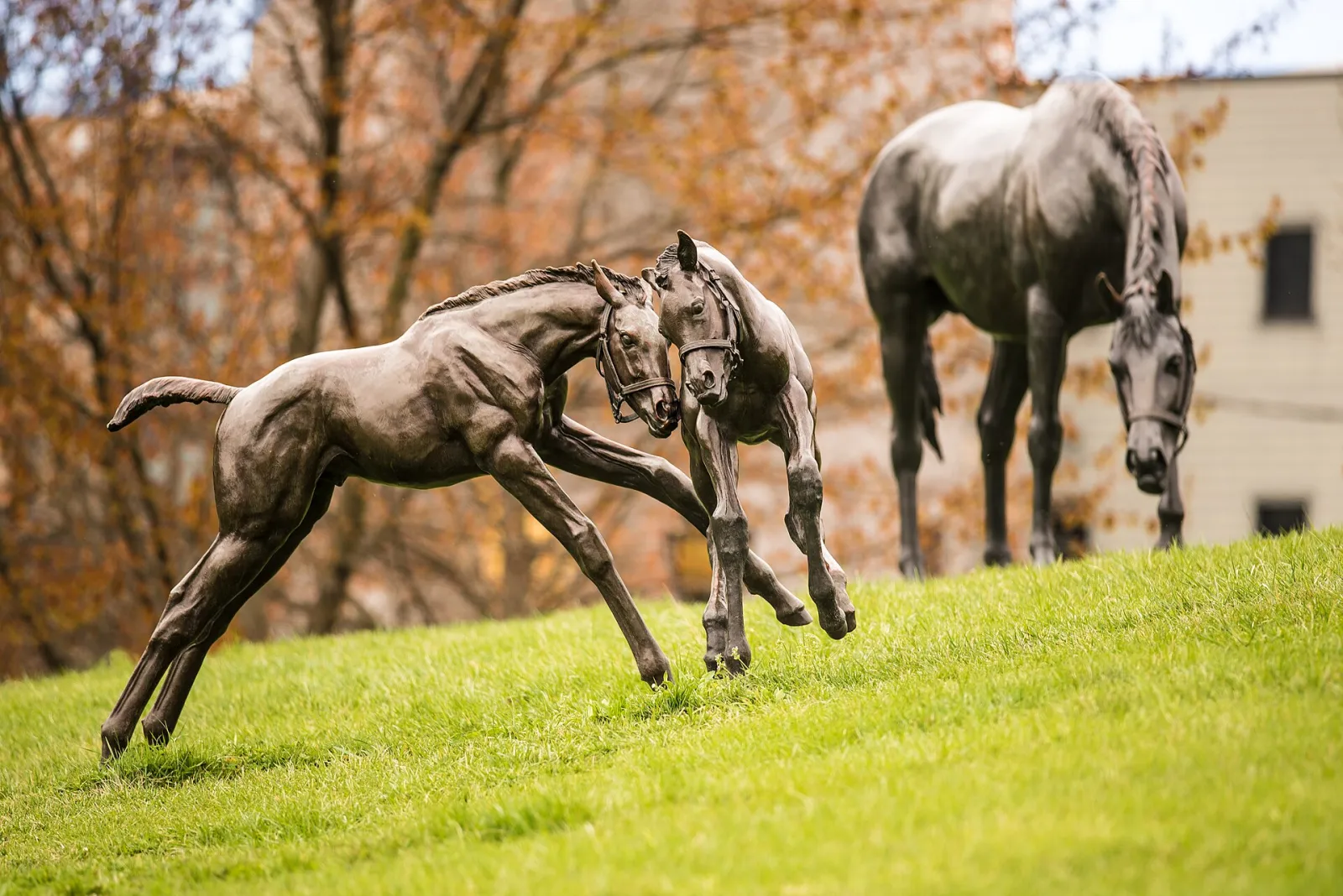 Thoroughbred Park, Lexington-Fayette, Kentucky, United States