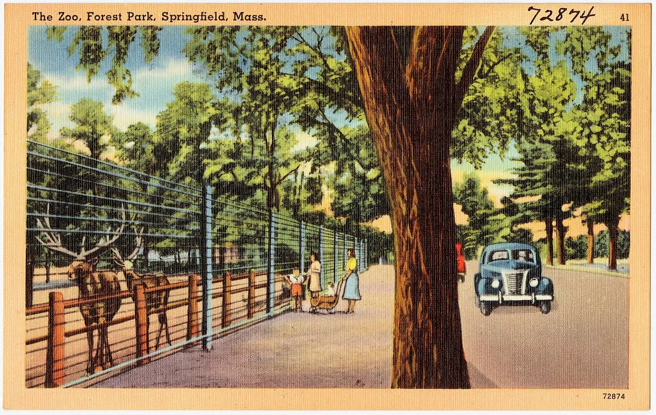 The Zoo in Forest Park, Springfield, Massachusetts, United States