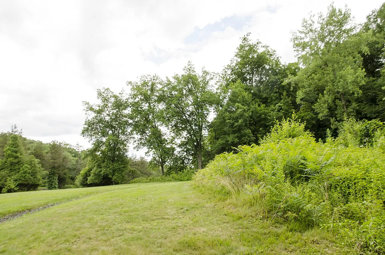 Forest Park Springfield, Springfield, Massachusetts, United States